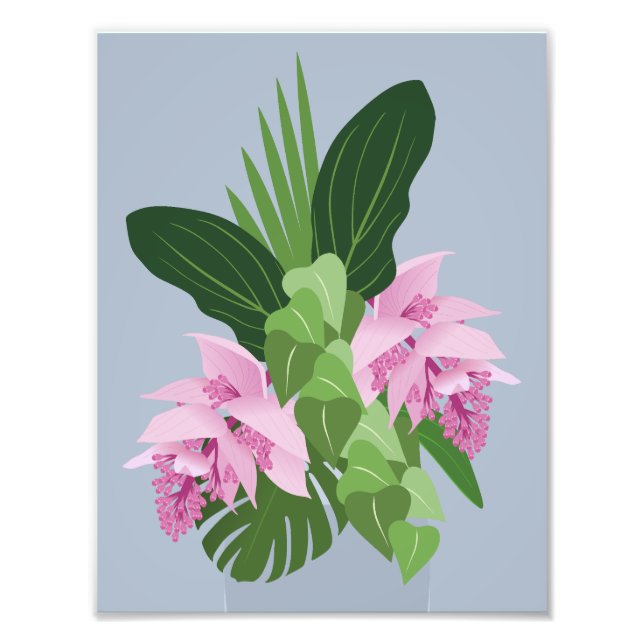 Tropiska Medinilla Rosa Flower på Blue Fototryck (Framsidan)