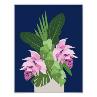 Tropiska Medinilla Rosa Flower på Mörk blått Fototryck