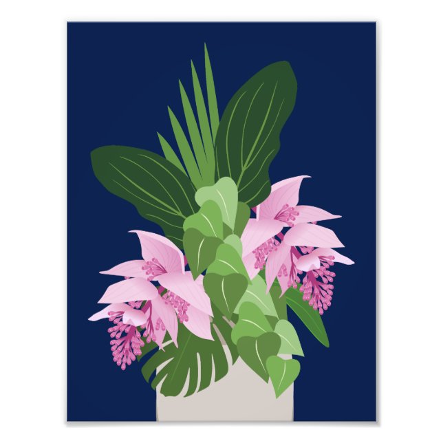 Tropiska Medinilla Rosa Flower på Mörk blått Fototryck (Framsidan)