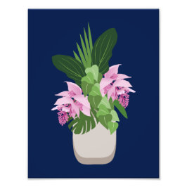Tropiska Medinilla Rosa Flower Vas på Mörk blått Fototryck