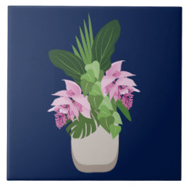 Tropiska Medinilla Rosa Flower Vas på Mörk blått Kakelplatta