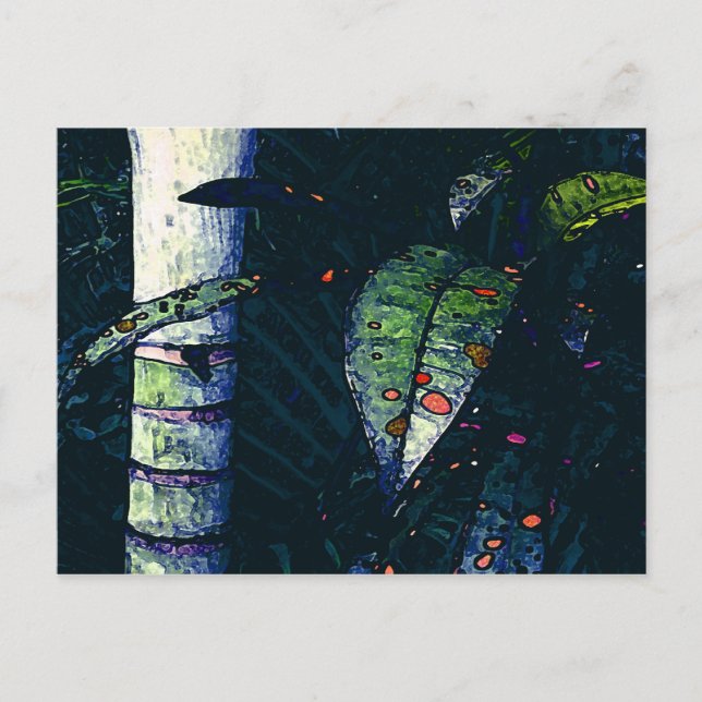 Tropiska natten vykort (Framsida)