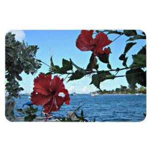 Tropiska öarna Flowers Magnet