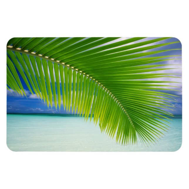 Tropiska oceanen Magnet (Horisontell)