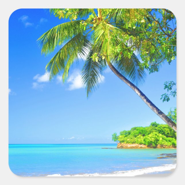 Tropiska ön fyrkantigt klistermärke (Framsida)