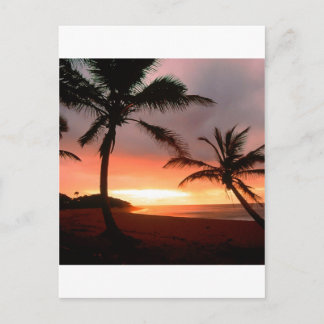 Tropiska ön Handflatan Dominikanska republiken Vykort