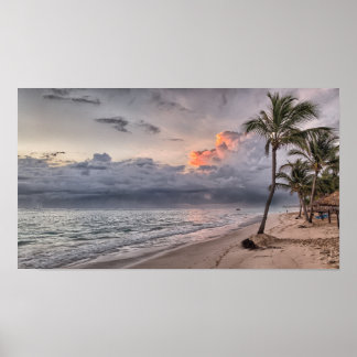 Tropiska ön handflatan Träd Beach Poster