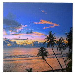 Tropiska ön Handflatan Träd Exotic Beach Sunset Kakelplatta