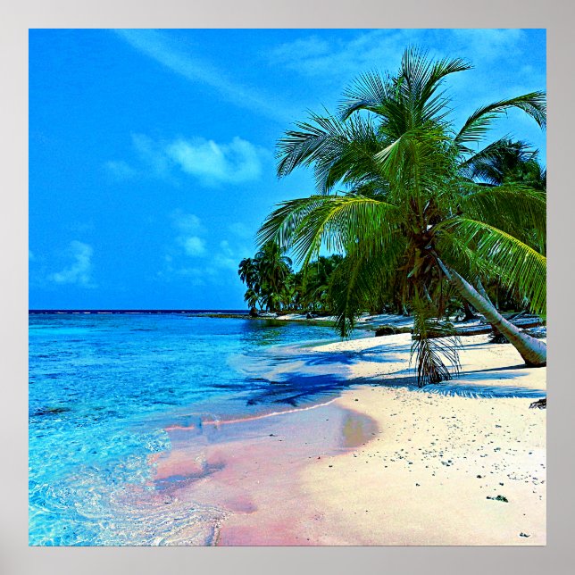 Tropiska ön med Handflatan Träd och Sandy Beach Poster (Framsidan)