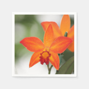 Tropiska Orangen Orchid Pappersservett