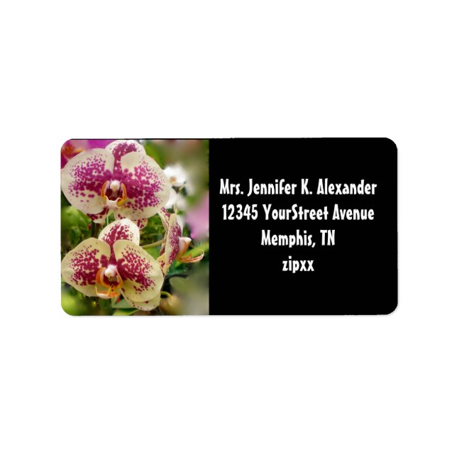 Tropiska orchider adressetikett (Framsidan)