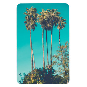 Tropiska palmer Kalifornien Retro vibe Magnet