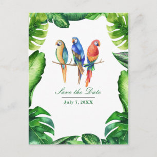 Tropiska papegojor Fåglar & blad Spara datum Meddelande Vykort