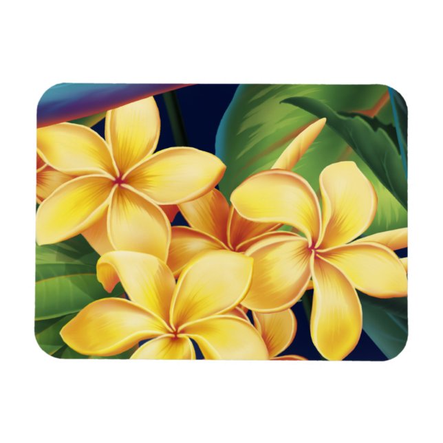 Tropiska paradise Hawaiian Plumeria Magnet (Horisontell)