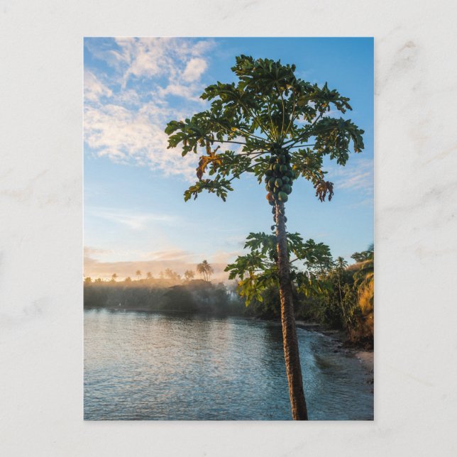 Tropiska paradise vid Sunset, Fiji Vykort (Framsida)