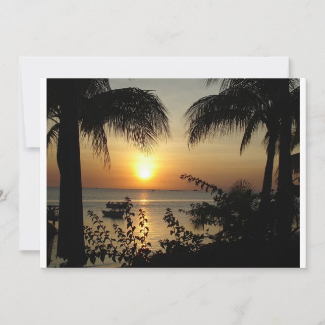 Tropiska paradiset (Framsida)