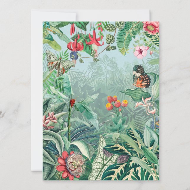 Tropiska paradiset (Framsida)