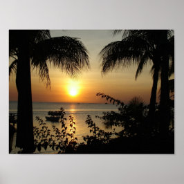 Tropiska paradiset poster