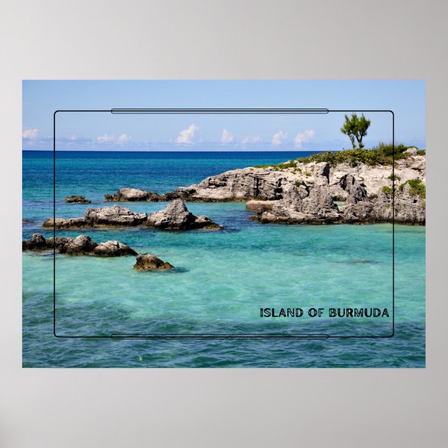 Tropiska paradiset poster (Framsidan)