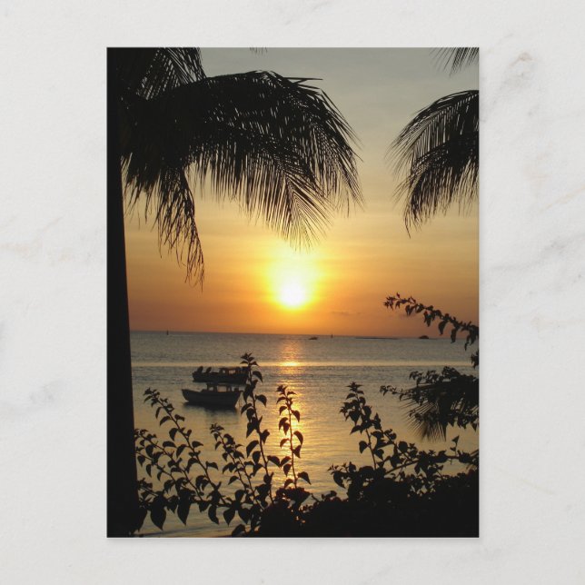 Tropiska paradiset vykort (Framsida)