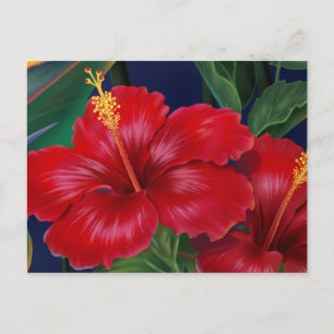Tropiska parkeringar Hibiscus vykort