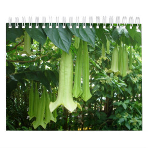 Tropiska Rainforestväxter Kalender