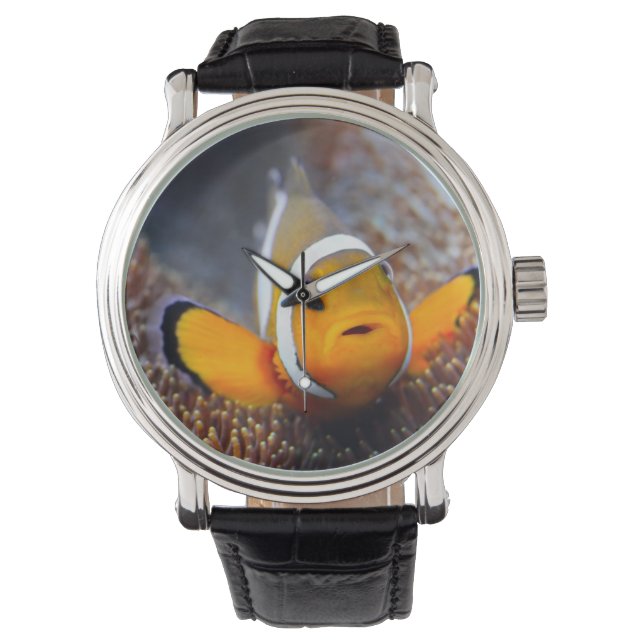 Tropiska revfiskar - Trädfisk Armbandsur (Framsida)