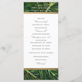 Tropiska Romantik II Program