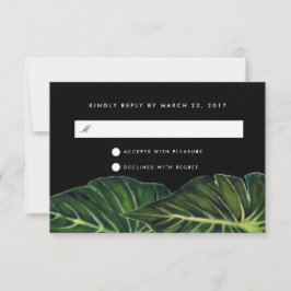 Tropiska Romantik / OSA