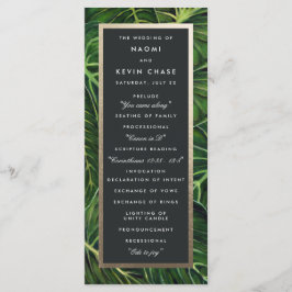 Tropiska Romantik / Program