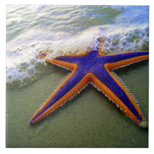 Tropiska Sandy Beach Sea Wave Kakelplatta