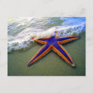 Tropiska Sandy Beach Sea Wave Vykort