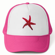 Tropiska sjöstjärtar