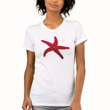 Tropiska sjöstjärtar