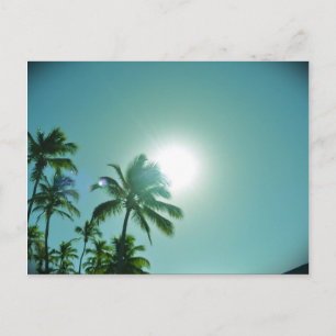 Tropiska Sol Vykort