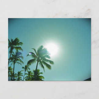 Tropiska Sol Vykort