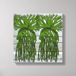 Tropiska staghornfern canvastryck