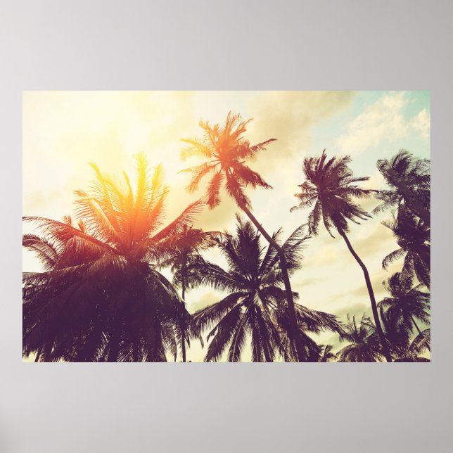 Tropiska strandbakgrund med handflatan träd silhue poster (Framsidan)
