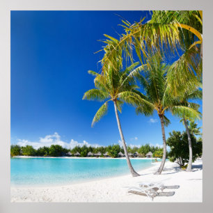 Tropiska stranden poster