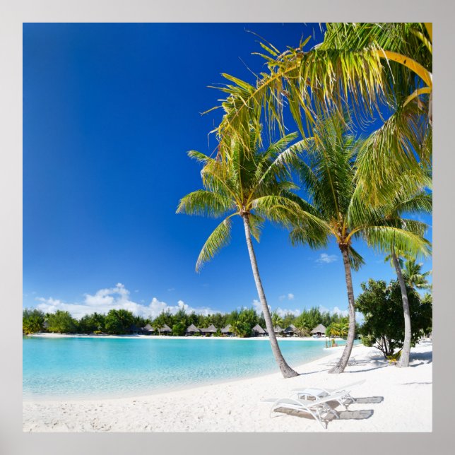 Tropiska stranden poster (Framsidan)