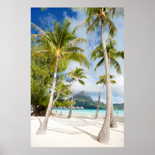 Tropiska stranden poster