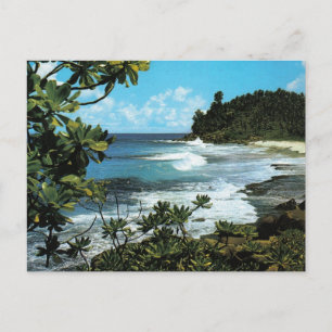 Tropiska stranden vykort