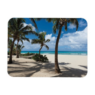 Tropiska stränder Anguilla Beach, Handflatan Trä Magnet