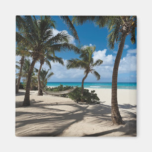 Tropiska stränder Anguilla Beach, Handflatan Trä Magnet