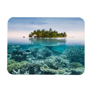 Tropiska stränder Ari Afee Maldives Magnet