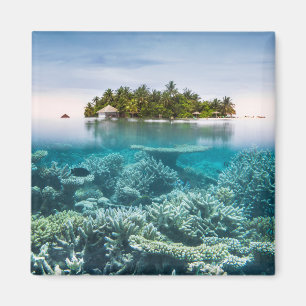 Tropiska stränder Ari Afee Maldives Magnet
