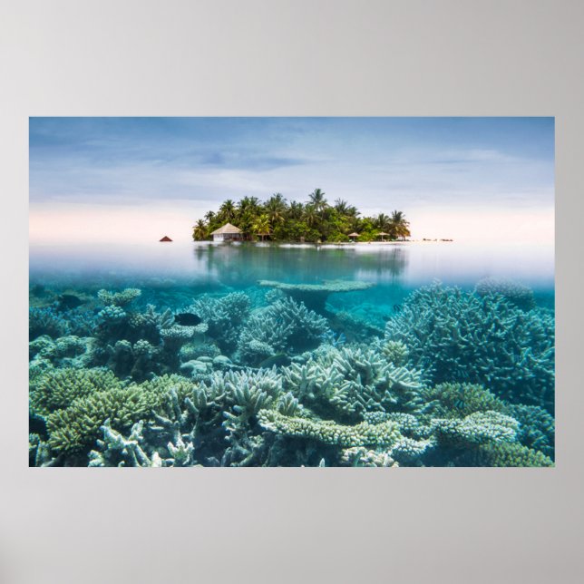 Tropiska stränder | Ari Afee Maldives Poster (Framsidan)