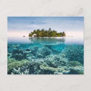 Tropiska stränder Ari Afee Maldives Vykort