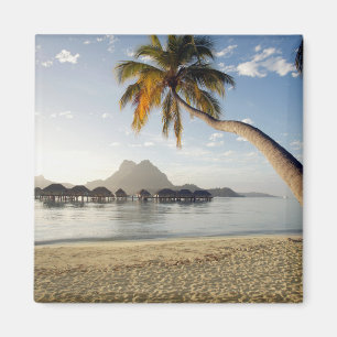 Tropiska stränder Beach Huts, Bora Bora Magnet