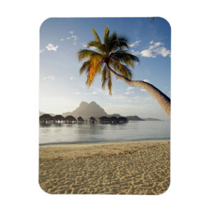 Tropiska stränder Beach Huts, Bora Bora Magnet